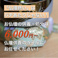 画像252