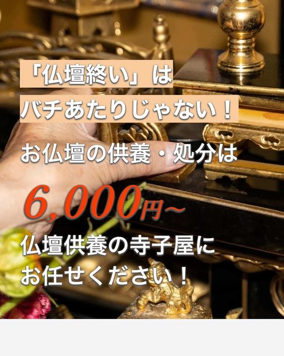 画像253