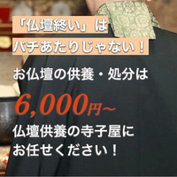 画像254