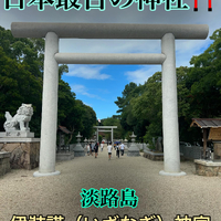 画像265