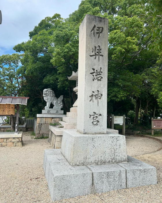 画像266