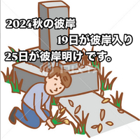画像310