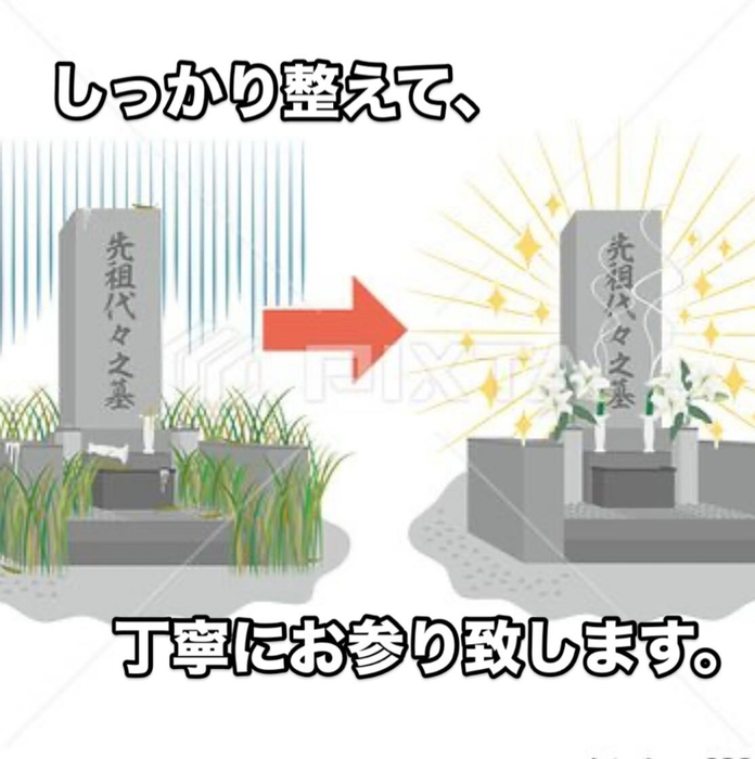 画像312