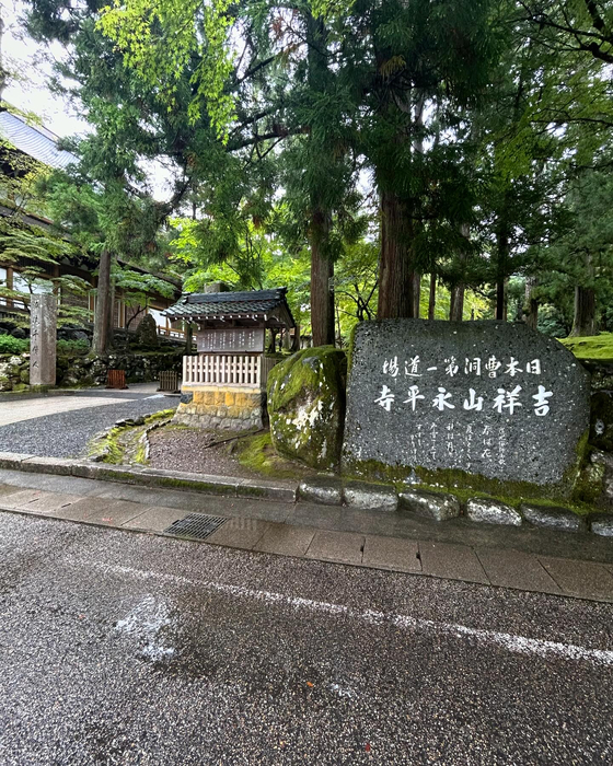 画像333